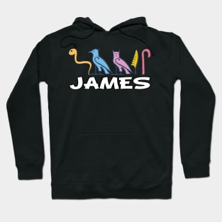 JAMES-American names in hieroglyphic letters-James, name in a Pharaonic Khartouch-Hieroglyphic pharaonic names Hoodie